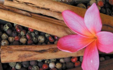 Ikatan Day Spa Escape