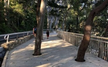 New Noosa coastal boardwalk