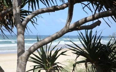 Explore Noosa’s eastern beaches with Sunshine Beach Accommodation