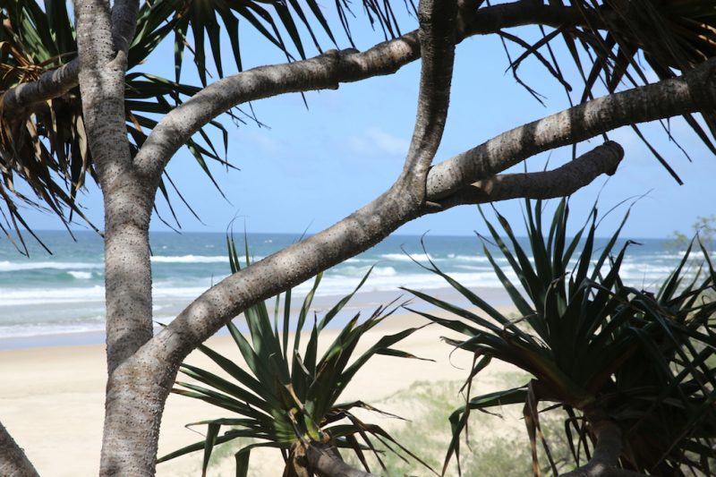 Explore Noosa’s eastern beaches with Sunshine Beach Accommodation