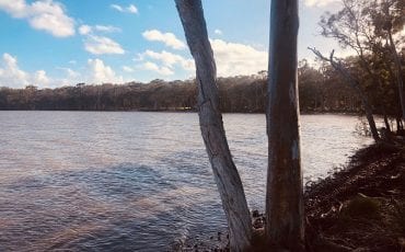 Discover peaceful Lake Weyba