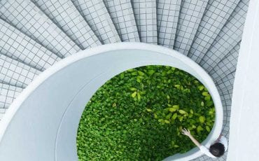 Clean And Green With Ha-Ra