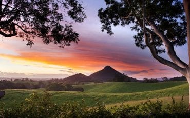 Things to do in Noosa for nature lovers