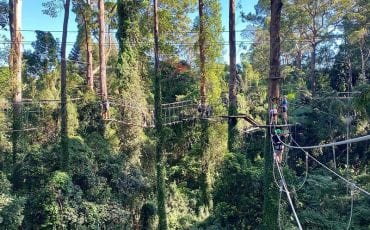 The great outdoors – Let the TreeTop Challenge begin!