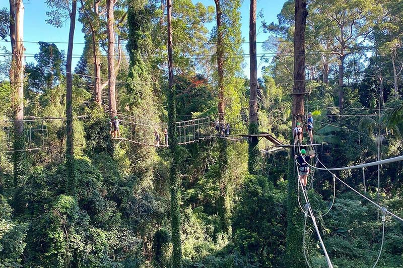 The great outdoors – Let the TreeTop Challenge begin!