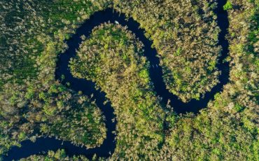 The great outdoors – Immerse yourself within the Noosa Everglades