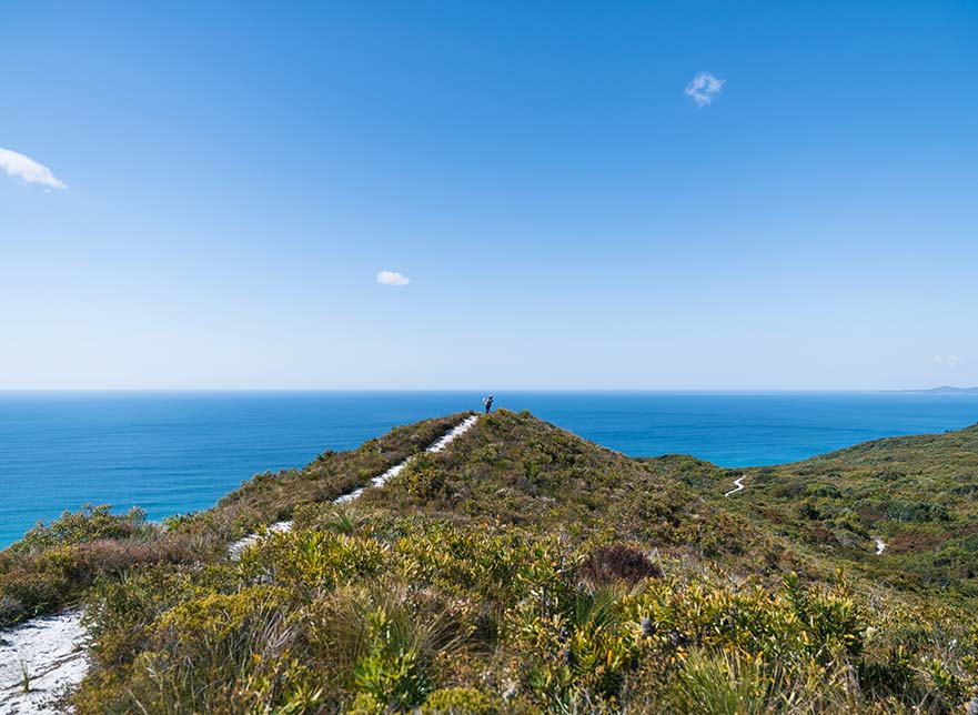 Cooloola Great Walk - view of park and ocean