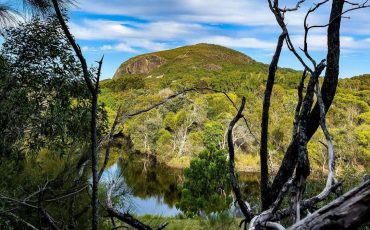 Art in nature – 5 natural wonders to explore on the Sunshine Coast