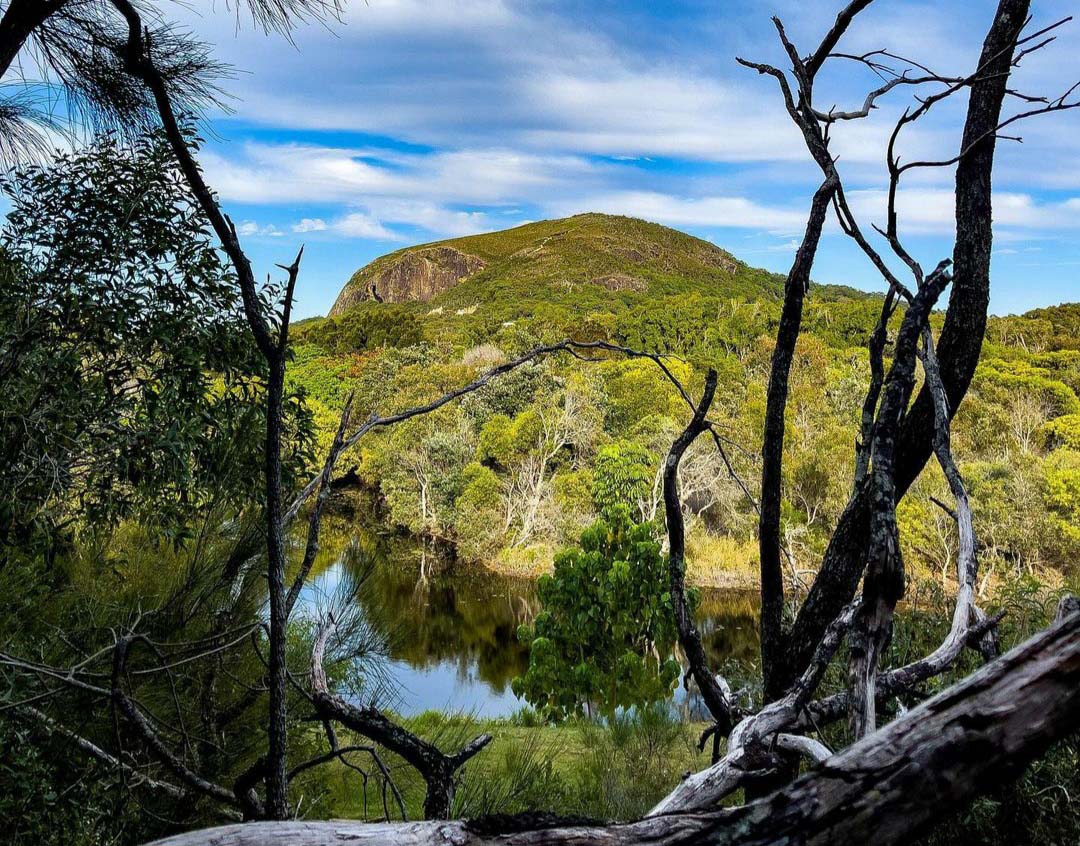 Art in nature – 5 natural wonders to explore on the Sunshine Coast