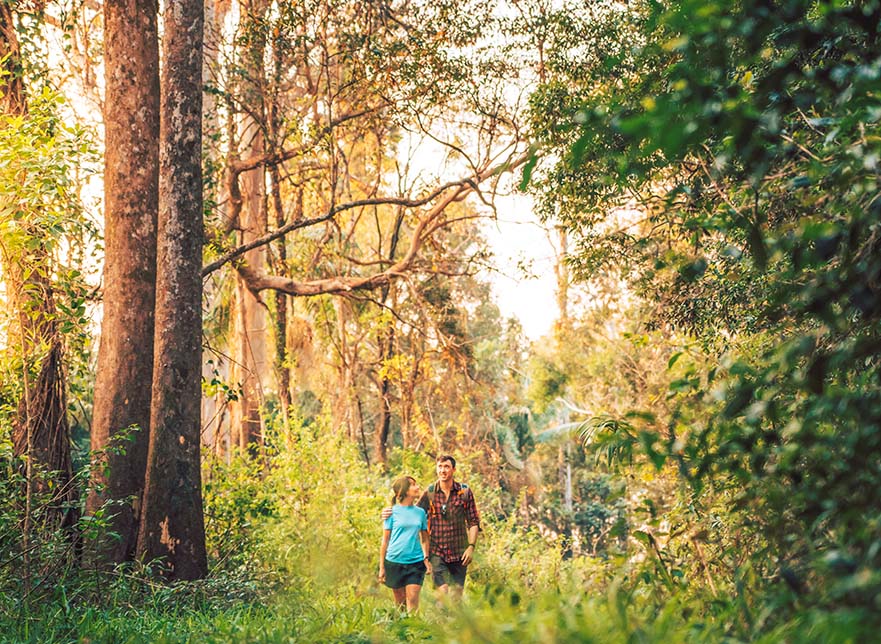 Sunshine Coast Walks - Noosa Trail Network