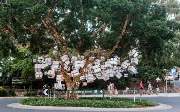 5 family activities to do in Noosa this Christmas